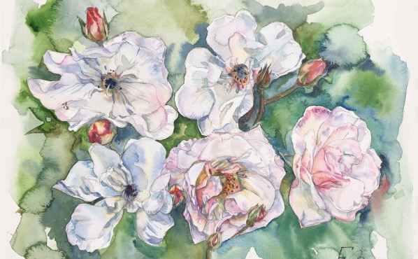 Компьютерная графика – работы студентов - 47